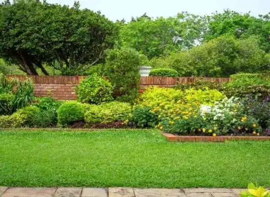 landscaping services Adelphi